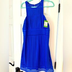 Lilly Pulitzer Blue Striped Dress